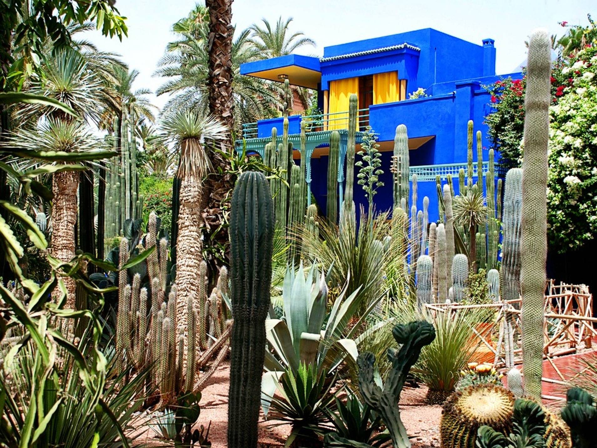 Khu vườn Majorelle ở Marrakech