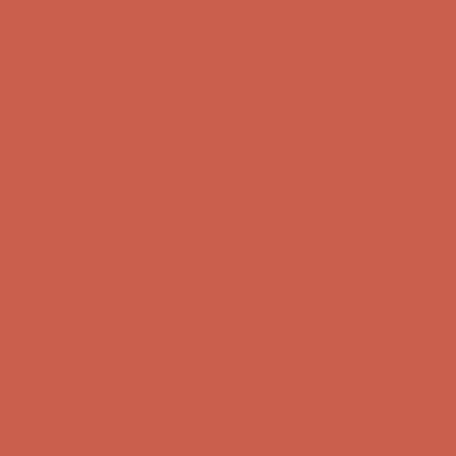 Gạch đỏ Viglacera lát sân D401