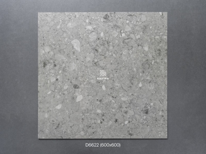 Gạch Terrazzo D6622