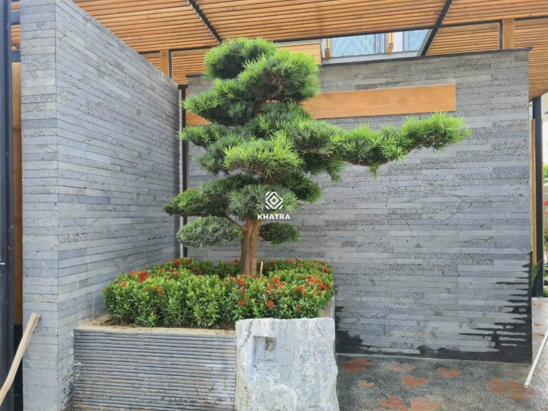 Mặt tiền nhà phố sử dụng gạch ong xám ốp tường