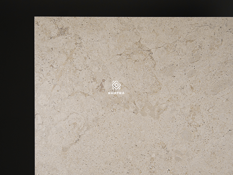 Chi tiết vân gạch FOSSIL 1200x1200