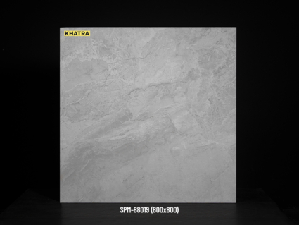 Gạch lát nền SPM-88019