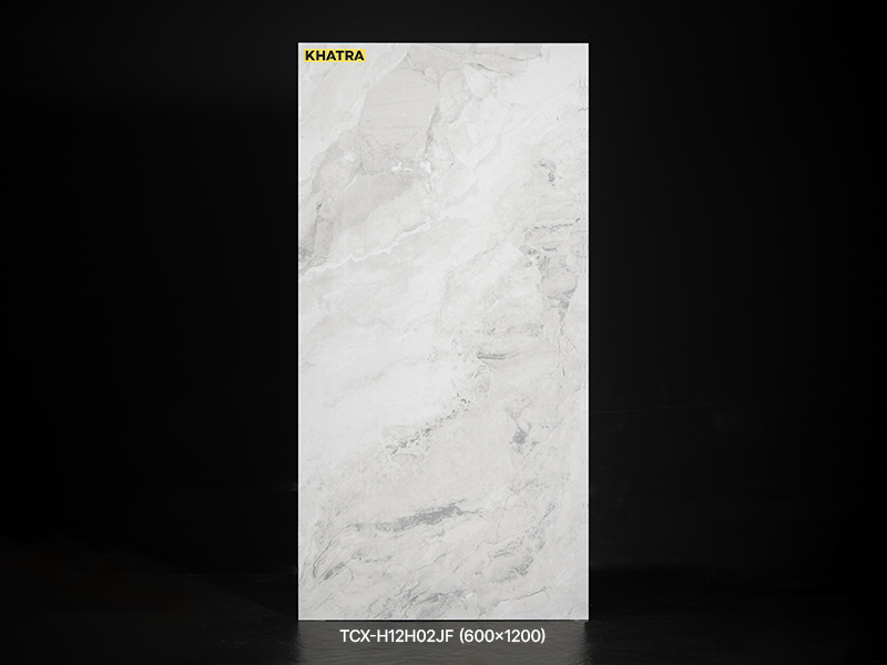 Gạch lát nền TCX-H12H02JF 600x1200